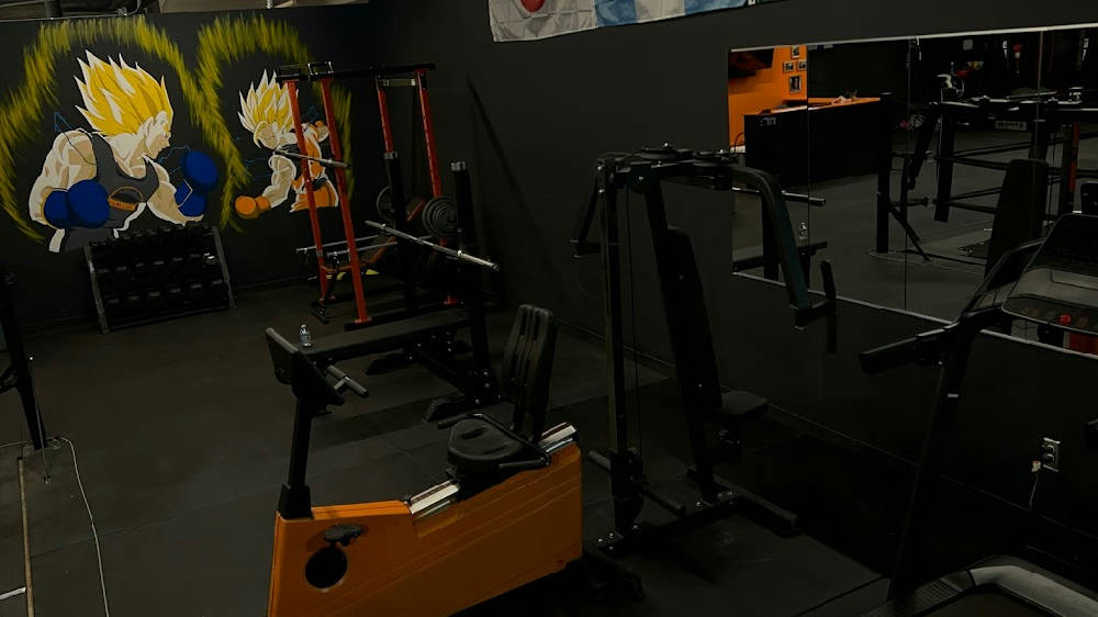 boxers training at the gym