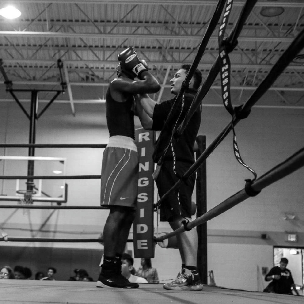 boxers training at the gym