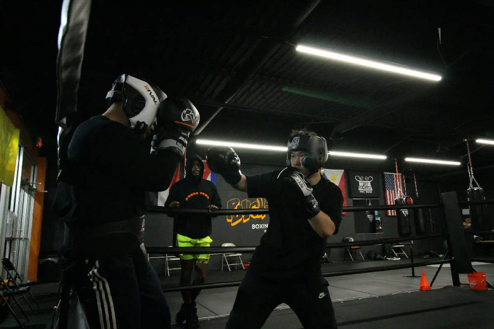 boxers training at the gym