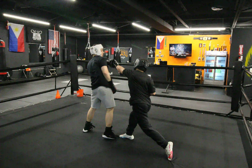 boxers training at the gym
