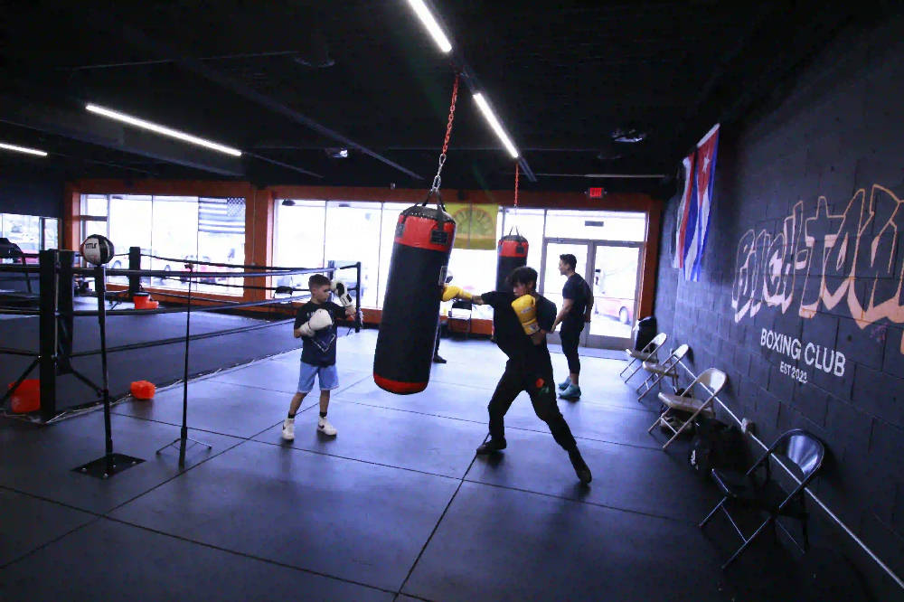 boxers training at the gym
